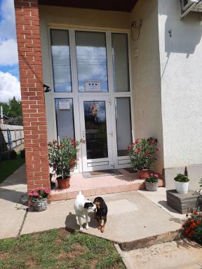Opál Apartman - Housity