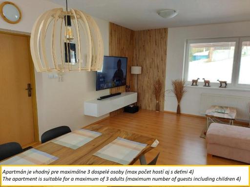 Apartment SKI-BIKE-HIKE, Vyšné Ružbachy - Housity