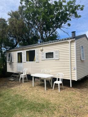 CAMPING ANIMAL KING - Housity