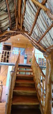 Cabinas Luna - Housity