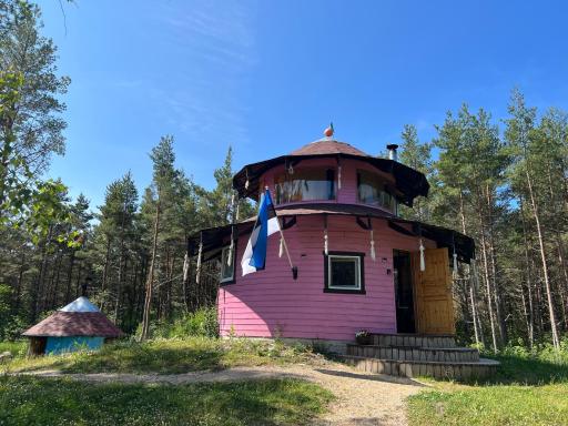 Roosa maja parvesaunaga - Housity