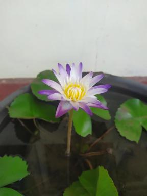 Leisure in Galle - Housity