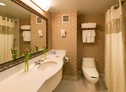 Hampton Inn & Suites Boston Crosstown Center - Housity