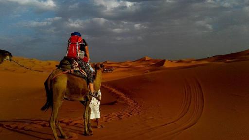 Desert Trek Luxury Camp - Housity