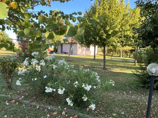 Casa Dora - Housity
