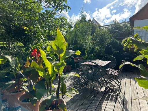 Wiehler- Ferienwohnung - Housity