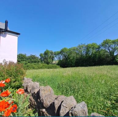 Room in a Cosy Cottage close to Cardiff City Centre - Housity