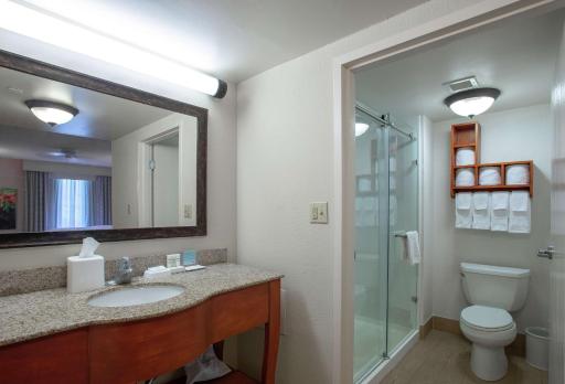 Hampton Inn & Suites Williamsburg-Richmond Road - Housity