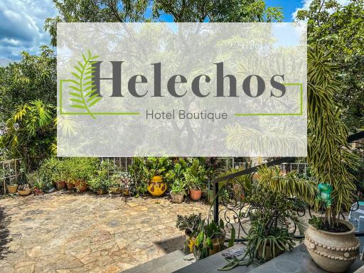 Helechos Hotel - Housity