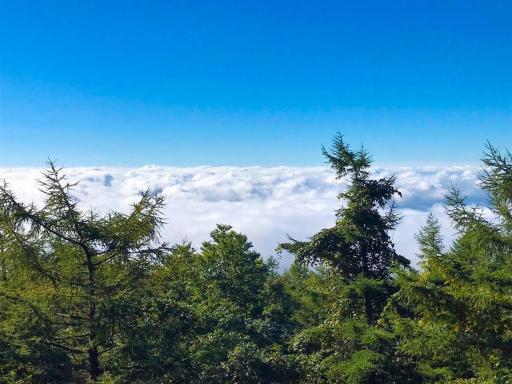 Nasu-gun - House - Vacation STAY 9263 - Housity
