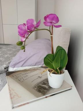 Carpe Diem Vrbas - Housity