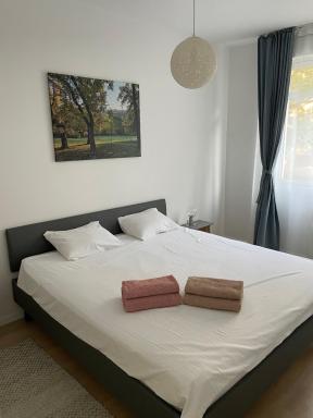 COOKIE Apartment - Housity