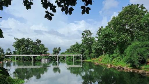 Whistling Bamboos - Housity