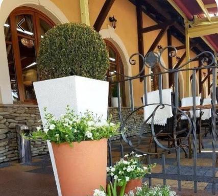 U Pietrzaków - Housity