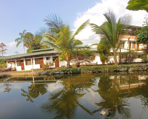 El Cacaotal Finca Faura - Housity