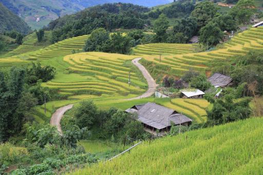 Helios Sapa Hotel - Housity