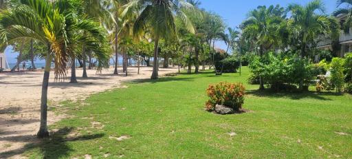 Studio la Verdure - Housity