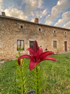Le Papillon - Housity
