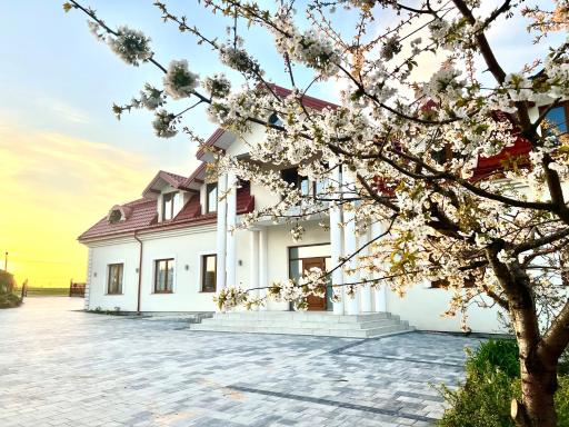 Brzozowy Ług Pensjonat - Housity