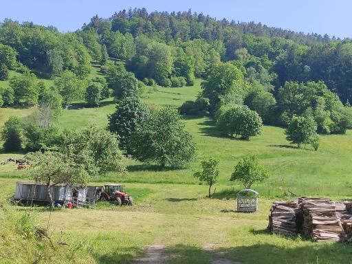 Les studios du frankenthal - Housity