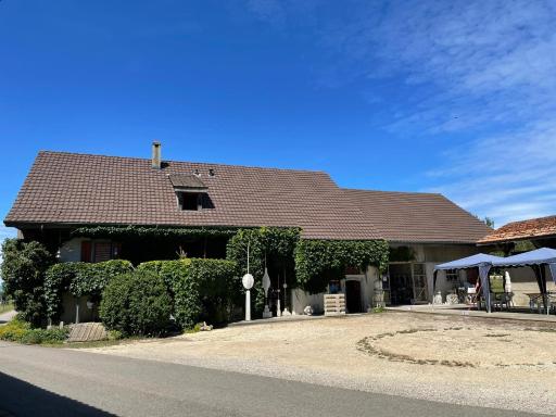 Bed & Breakfast in einer Kunstgalerie - Housity