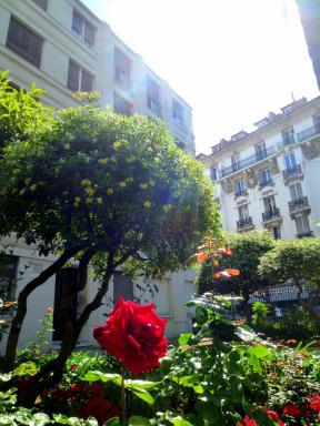 Nice Appart - Housity