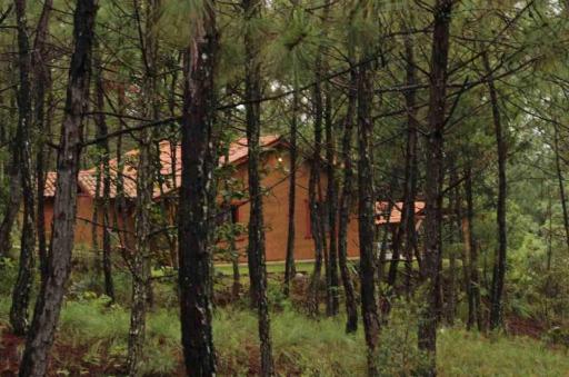 Los venados - Housity