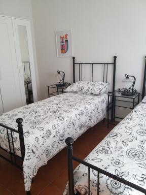 La pianta grassa appartamento a 2 passi dal centro - Housity