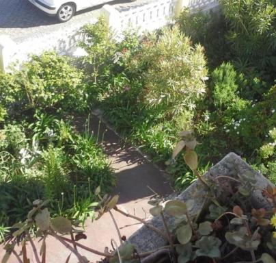 Casa do Jardim (Garden House) - Housity