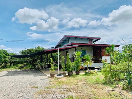 Stary Homestay 1 - Housity