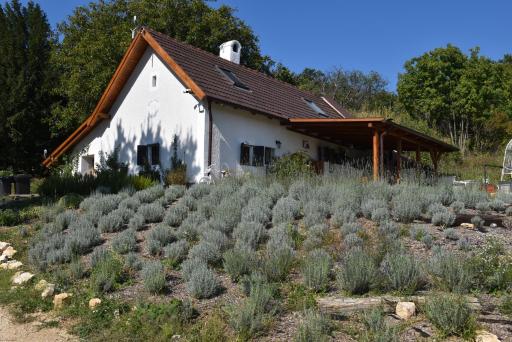 Sauna & Jakuzzi Kisleshegy Dörgicse Vendégház - Housity