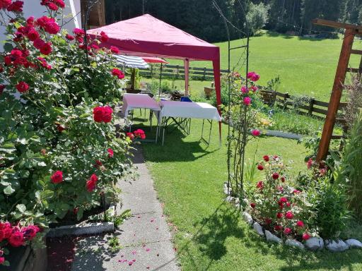 Haus Spertental - Housity