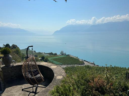 Panoramic Room in the vineyard,stunning views of lake and Alps - Housity