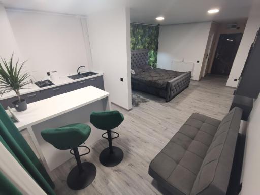 Apartament Raissa - Housity