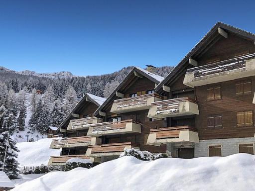 Our little marmots' dream - Housity