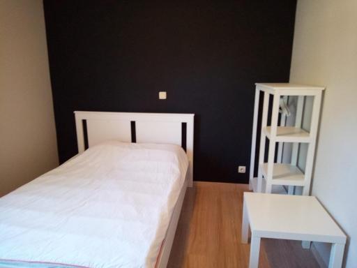 Elegant Nicely Furnished Spacious Apartment - Housity