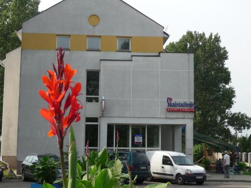 Skaistažiedė - Housity