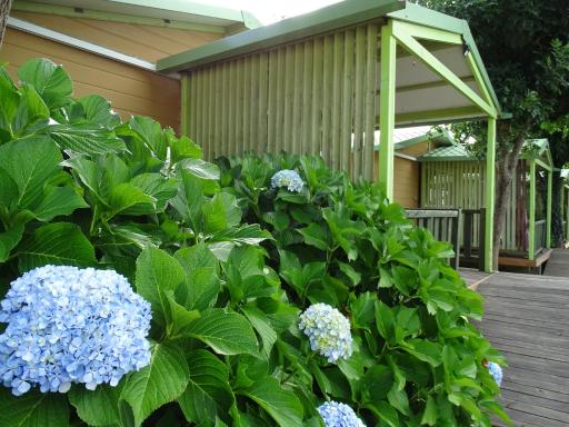 CAMPING RIANXO - Housity