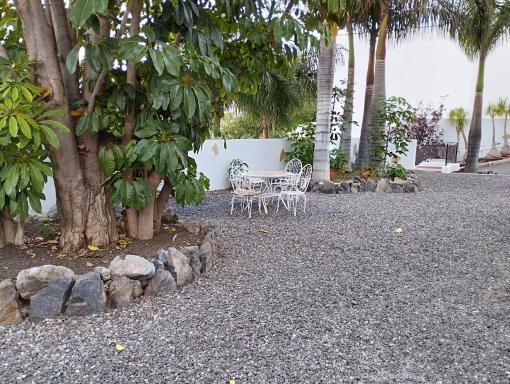 Las palmeras - Housity