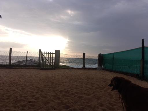 V3 Stay beach home - Housity