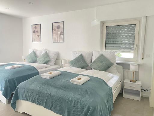 Lux Apartment near Frankfurt! - Housity