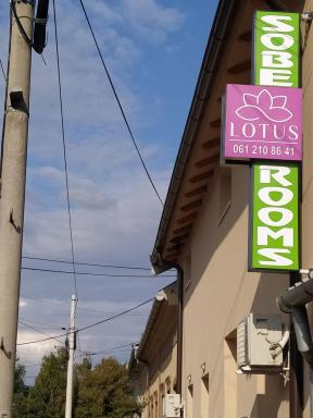 Lotus house - Housity