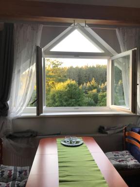 Forest Paradise - Housity