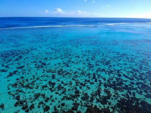 MOOREA - Fare Taina Nui - Housity