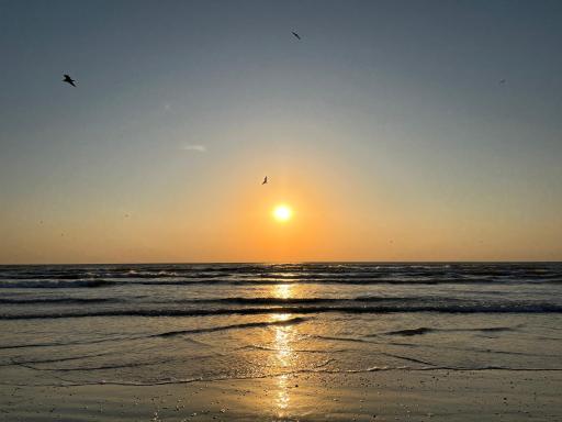 Excelsior Apartaments Mamaia Nord - Housity