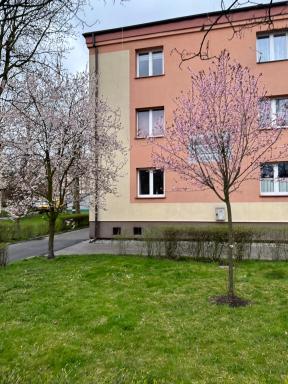 Dobra 19 - Housity