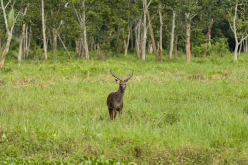 Hotel Parkside - Housity