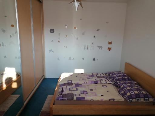 Soukromý byt 2+KK Vysočany,10 min od centra Prahy. - Housity