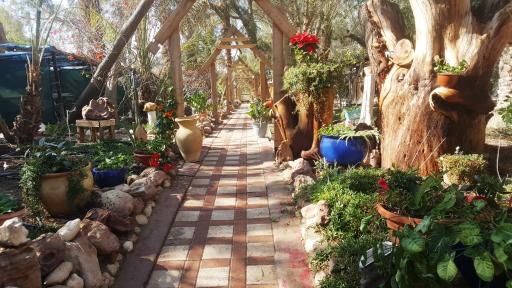 ערבה גארדן Arava Garden - Housity