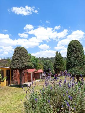 Finca Marix, Villa del Carbón - Housity